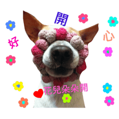 這是我的狗哺妞