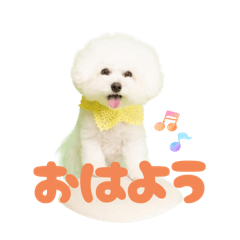 kurumi_20251012234451