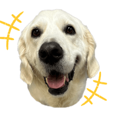 omochi_20251011182017