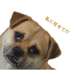 M_20251011181904