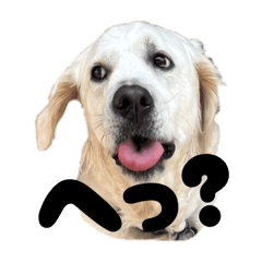 omochi_20251011182426