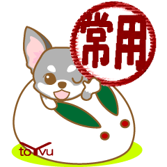 WANKOBIYORI(chihuahua)3