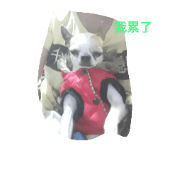 可愛的阿弟仔的貼圖喔