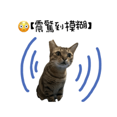 蔡阿斑の日常PART 2