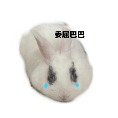 肉肉阿兔葉麻糬