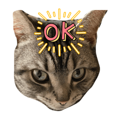 asuka_20251012222912