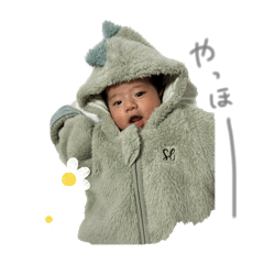 koto_20251012225224