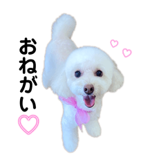 natsu_20251013010309