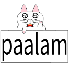 Philippines-Cute Cat