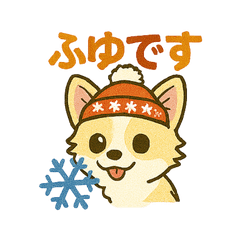 チワブなはなちゃんの日常⑨