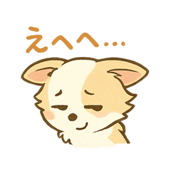 チワブなはなちゃんの想い①