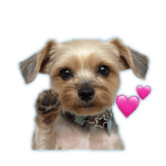 YUKKIE_20251012042759