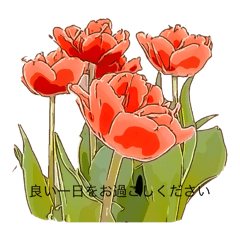 Flower contact