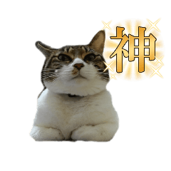 kaori_20251012225154