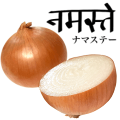 Domestic Onions 13