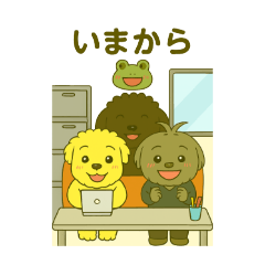 Toy-poo three sisters, Kyra, Sere, Anzu