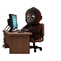 G&shop_20251012182408