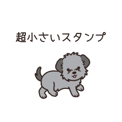 やさしいチワプー『超ミニサイズ！』