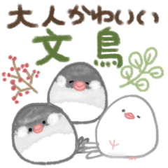 The fun daily life of Java sparrows