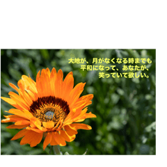 sanae_20251012112219