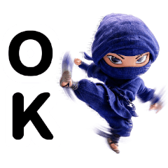 リアル忍者2改（目力強め）