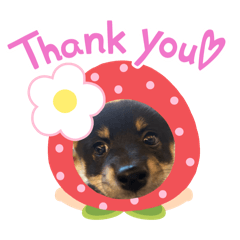 Hana87_20251012200631