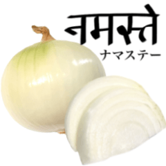 Domestic Onions 14