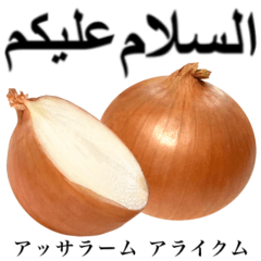 Domestic Onions 15
