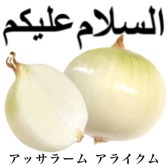 Domestic Onions 16