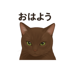 lemon_20251012204916