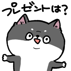 岡山弁を喋る柴犬(黒)の冬2025ver.