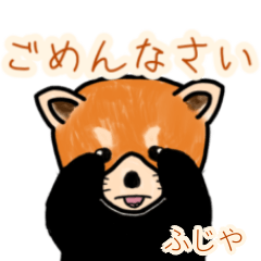Fujiya's lesser panda
