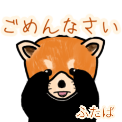 Futaba's lesser panda
