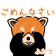 Futatsu's lesser panda