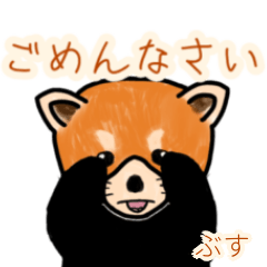 Busu's lesser panda