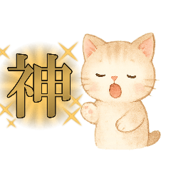 Everyday cat and strawberry