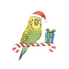 shion_20251013092722