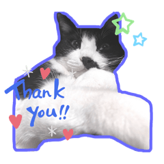 itsuki_20251013112127