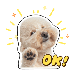 五花肉肉真口愛