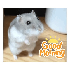 ayanana_20251013125001