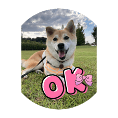 arisa_20251013114601