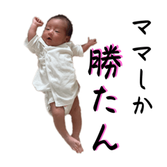 Yuzu papa_20251012235426