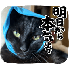 yun_20251013122008