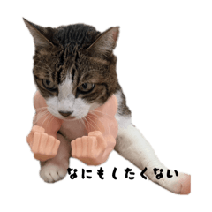 ayumi_20251013123853