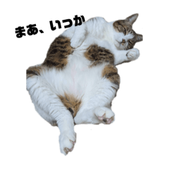 ayumi_20251013123324