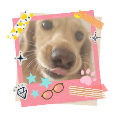 tetsu_20251013124701