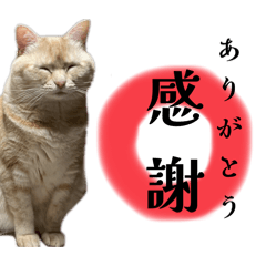 yuzusuke_20251013130540