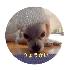 y_20251013132239