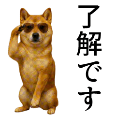 [Dancing] Shibu Inu