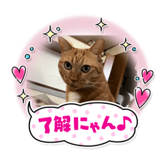 kaoru_20251013134537